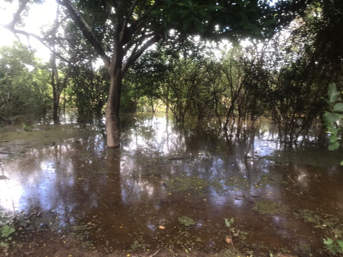 Estrada que dava acesso a Comunidade Tradicional Quilombola Pesqueira e Vazanteira&nbsp;de&nbsp;Croatá