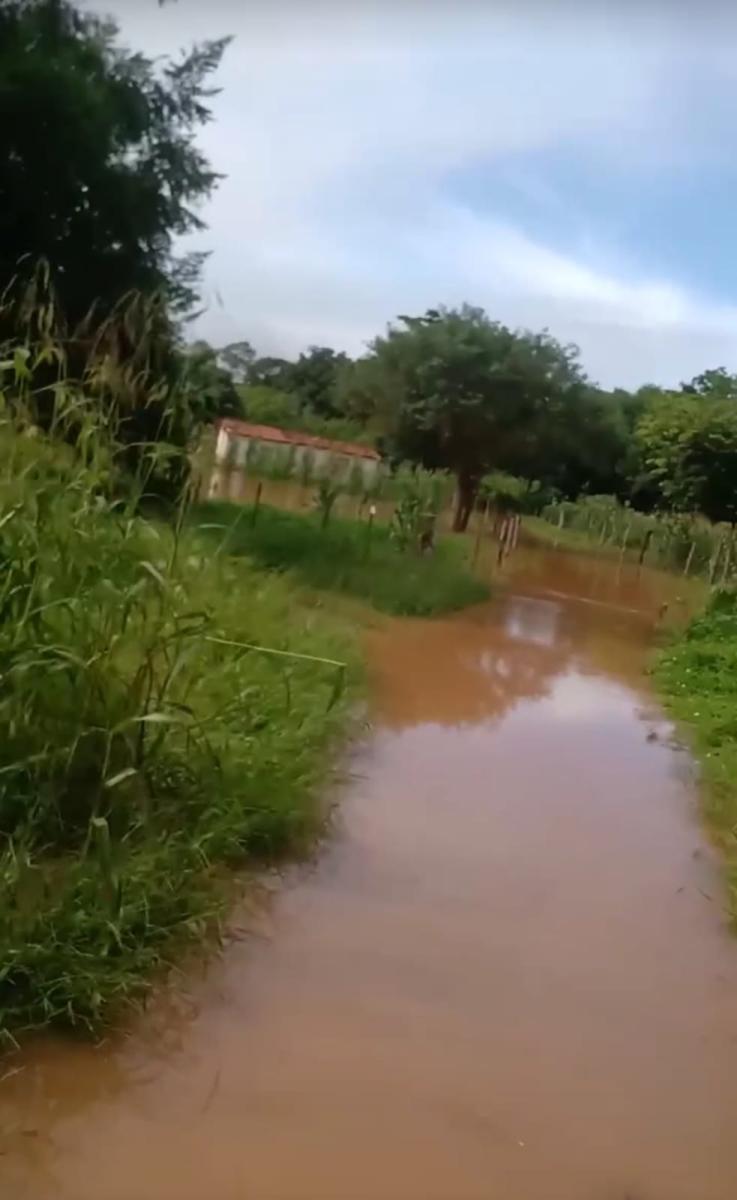 Estrada da Comunidade Tradicional Pesqueira e Vazanteira Ilha da Porteira (São Francisco/MG) tomada&nbsp;pela&nbsp;água